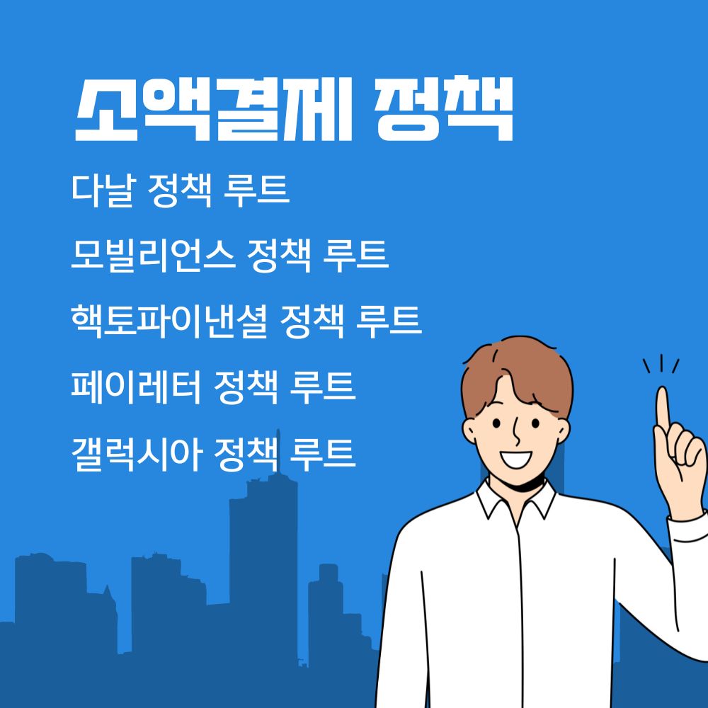 소액결제 정책